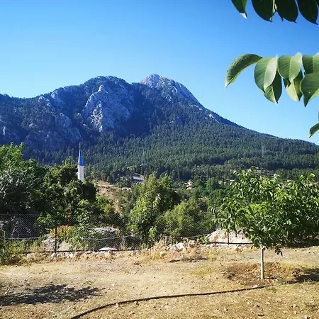 Ciftlik Ve Dag Evi - Canerbey Chalet *