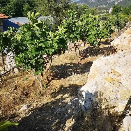 Ciftlik Ve Dag Evi - Canerbey * Kemer
