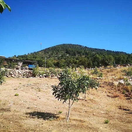Ciftlik Ve Dag Evi - Canerbey
