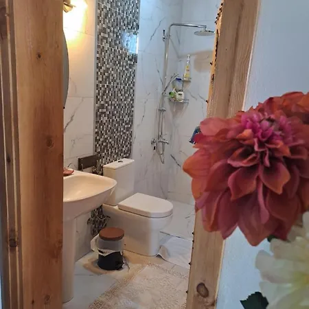 Ciftlik Ve Dag Evi - Canerbey *