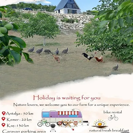 Ciftlik Ve Dag Evi - Canerbey Kemer
