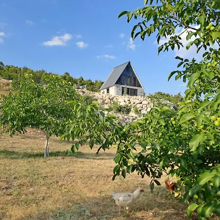 Ciftlik Ve Dag Evi - Canerbey