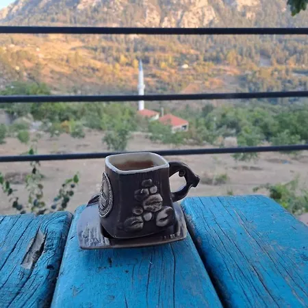 Hotel Ciftlik Ve Dag Evi - Canerbey *