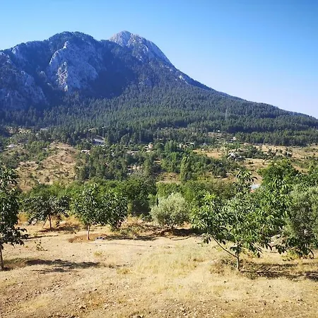 Hotel Ciftlik Ve Dag Evi - Canerbey *