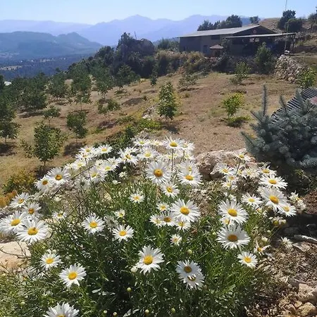 Hotel Ciftlik Ve Dag Evi - Canerbey