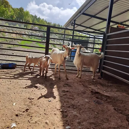 Ciftlik Ve Dag Evi - Canerbey בקתה *